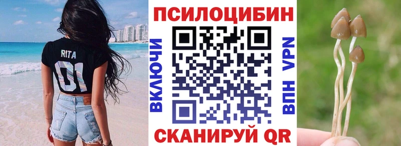 KRAKEN ссылка  Злынка  Галлюциногенные грибы Cubensis 