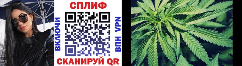 MEGA как войти  Злынка  Марихуана Amnesia 